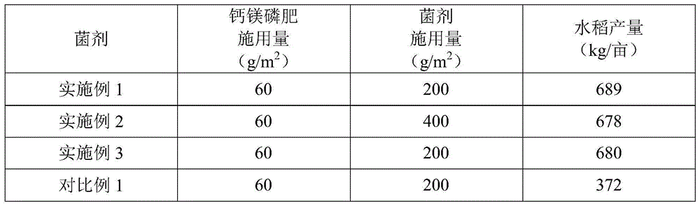 Lysinibacillus fusiformis and microbial agent, as well as applications thereof