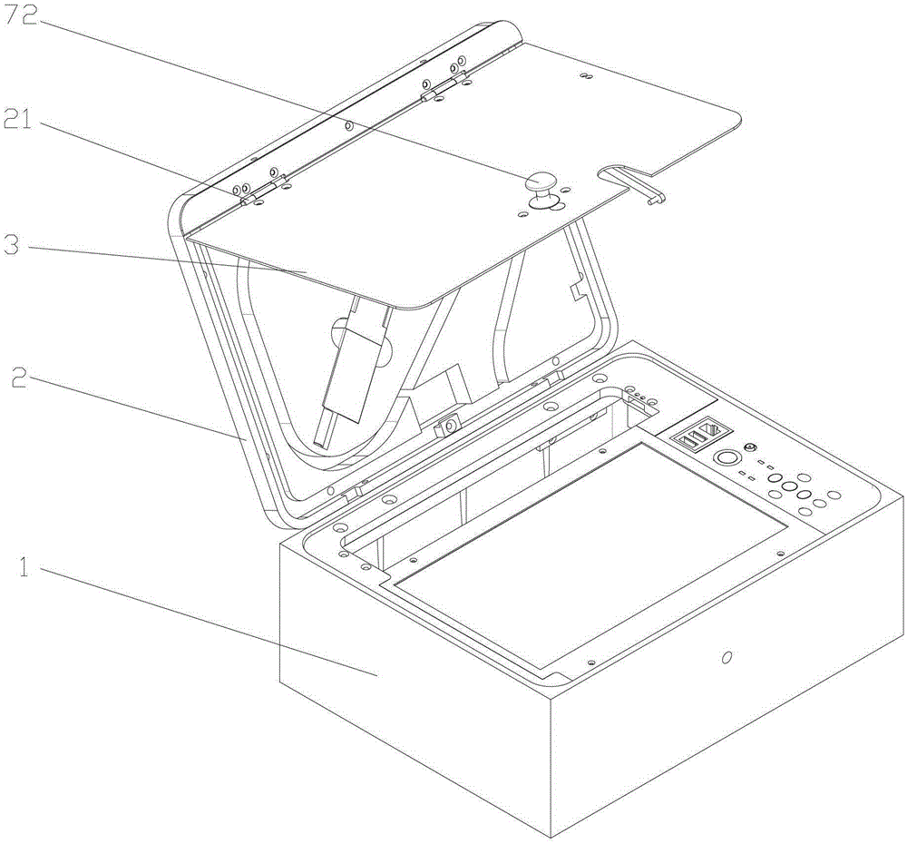 Fixing device for pigtail and probe of a portable Raman spectrometer