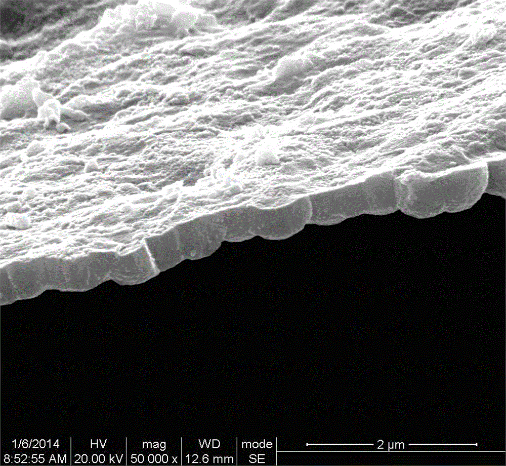 A method and application of stripping titanium surface coating by nanotube treatment