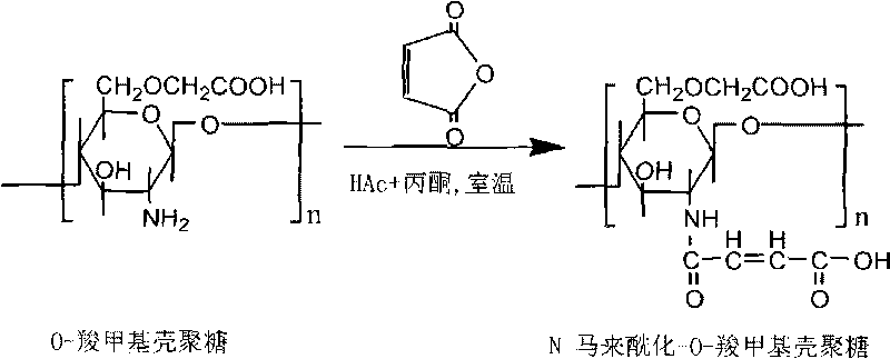 Method for preparing moisturizing agent N-maleylation-O-carboxymethyl chitosan