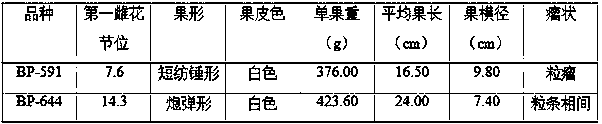 Breeding method of powdery-mildew-resisting cannonball-shaped white bitter gourd variety