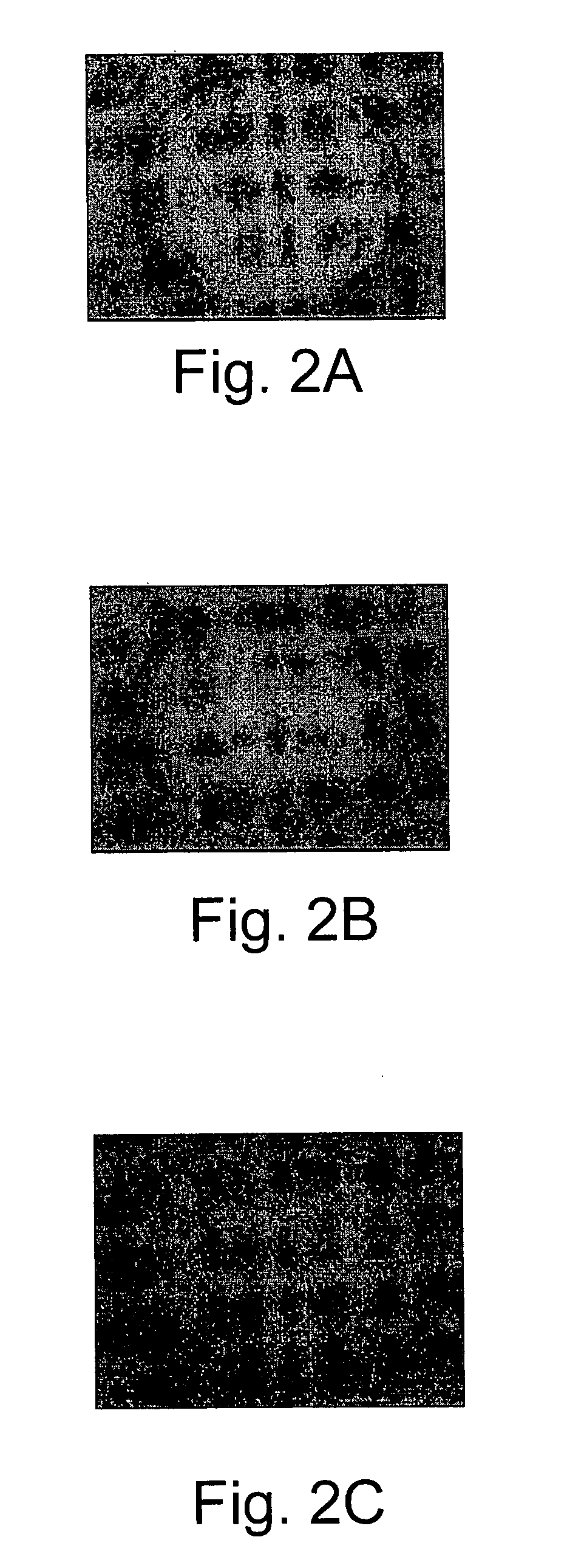 Apparatus for manufacturing components using electrophoretic deposition