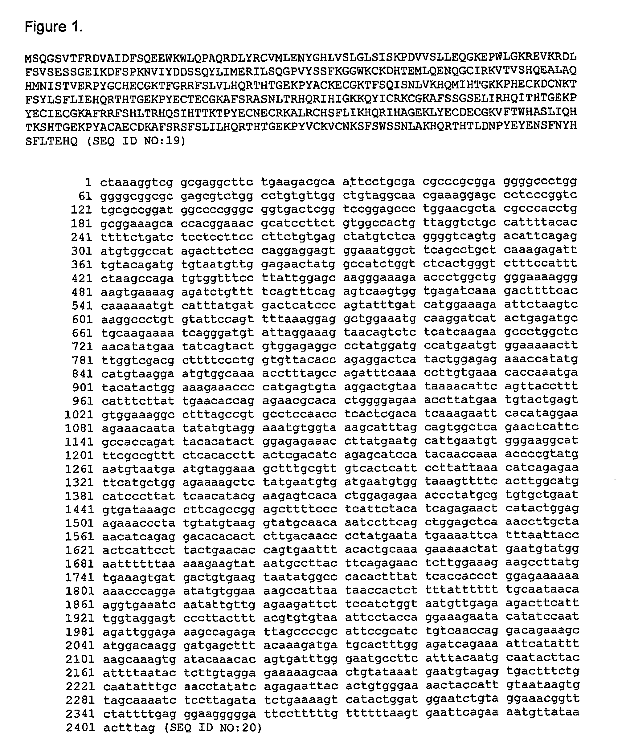 Telomerase expression repressor proteins and methods of using the same