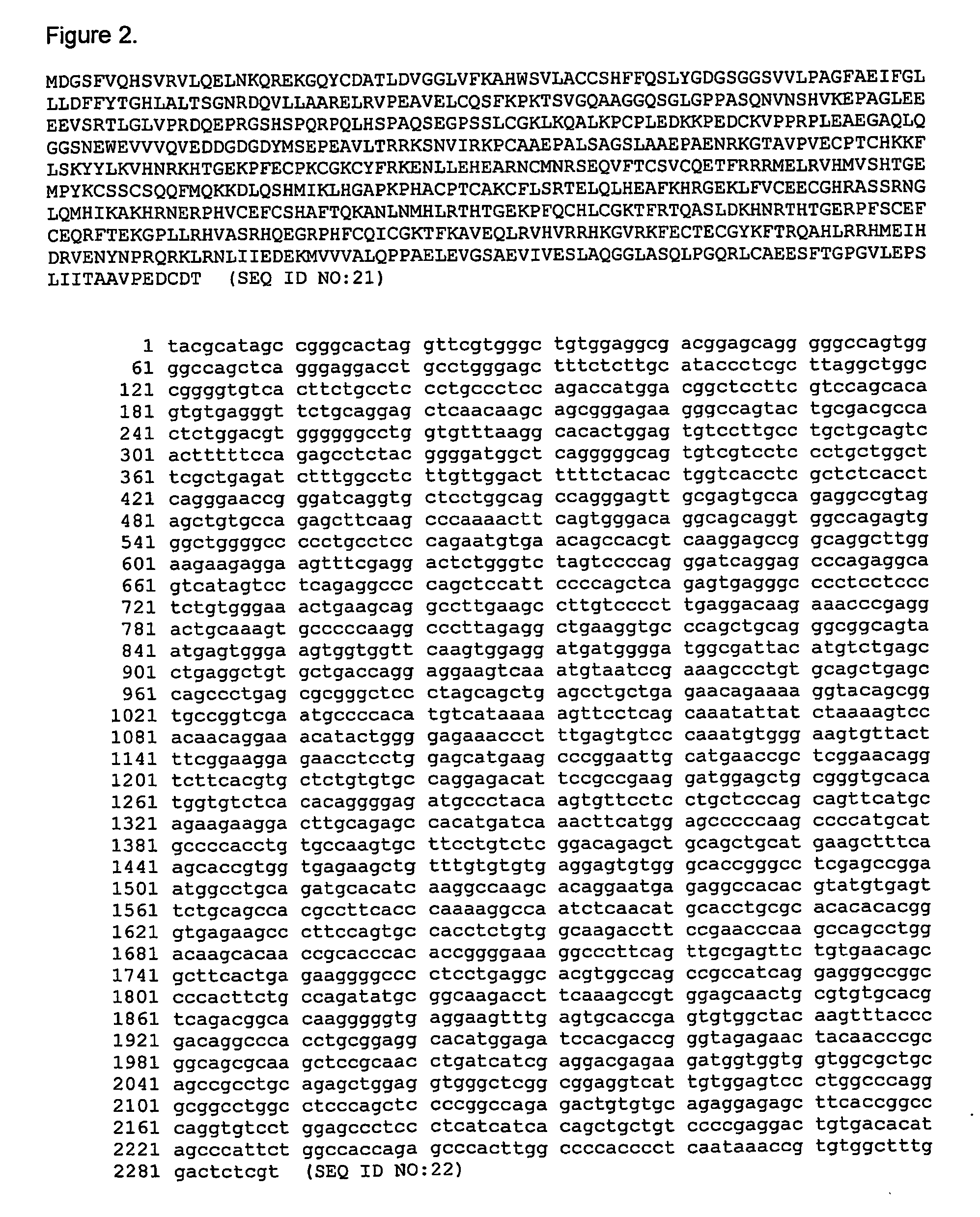 Telomerase expression repressor proteins and methods of using the same