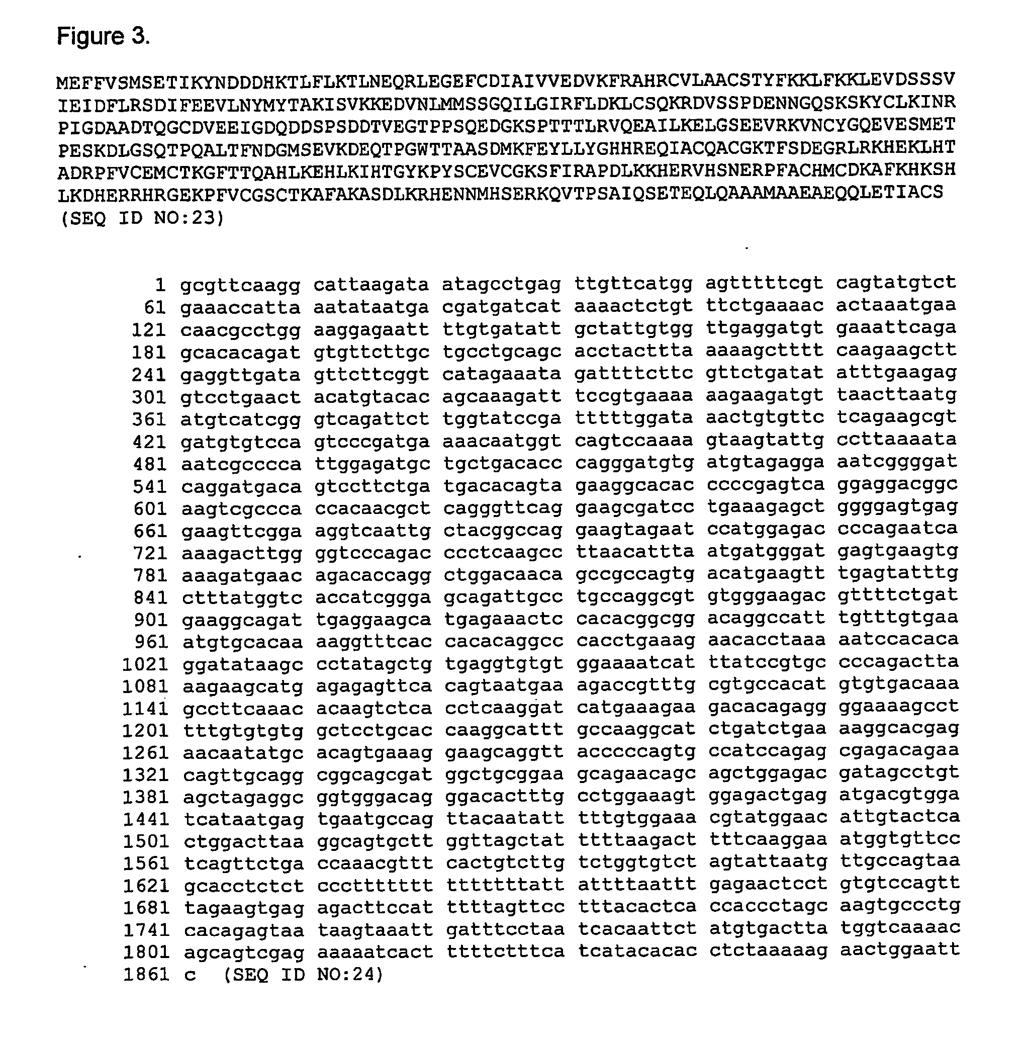 Telomerase expression repressor proteins and methods of using the same