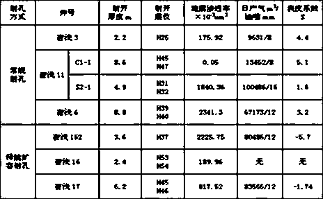 Energy-releasing composite preparation and preparation method thereof