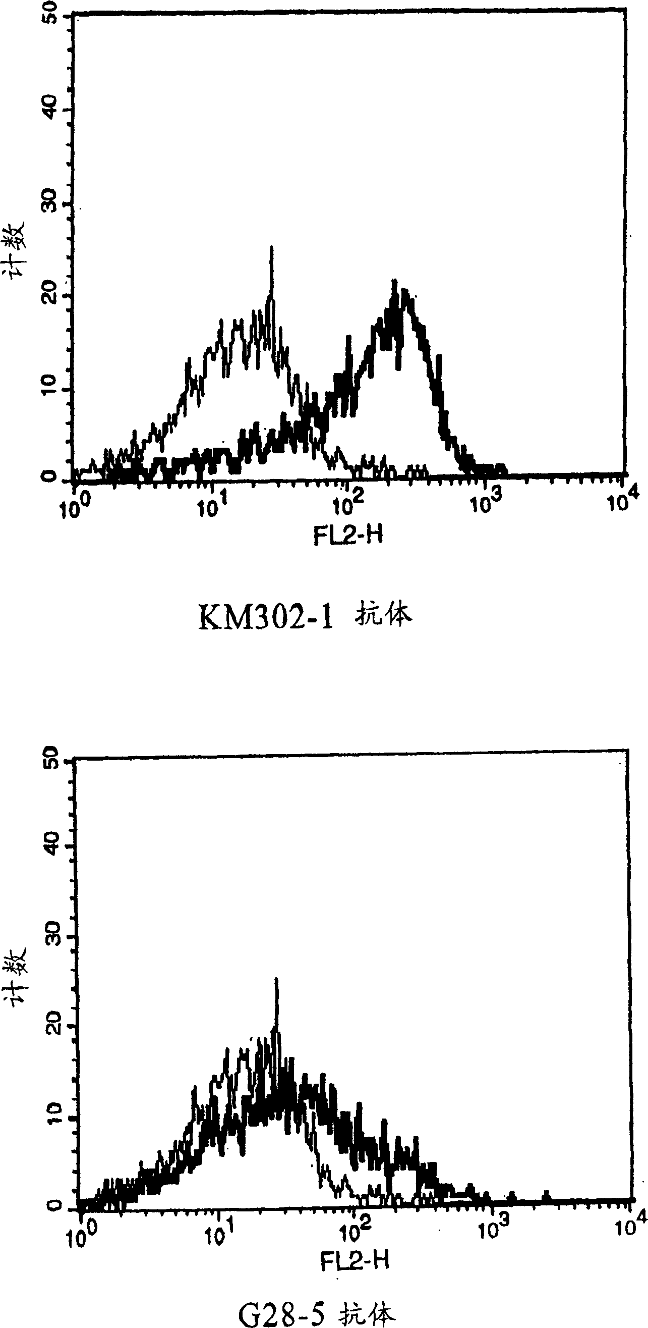 Anti-CD40 monoclonal antibody