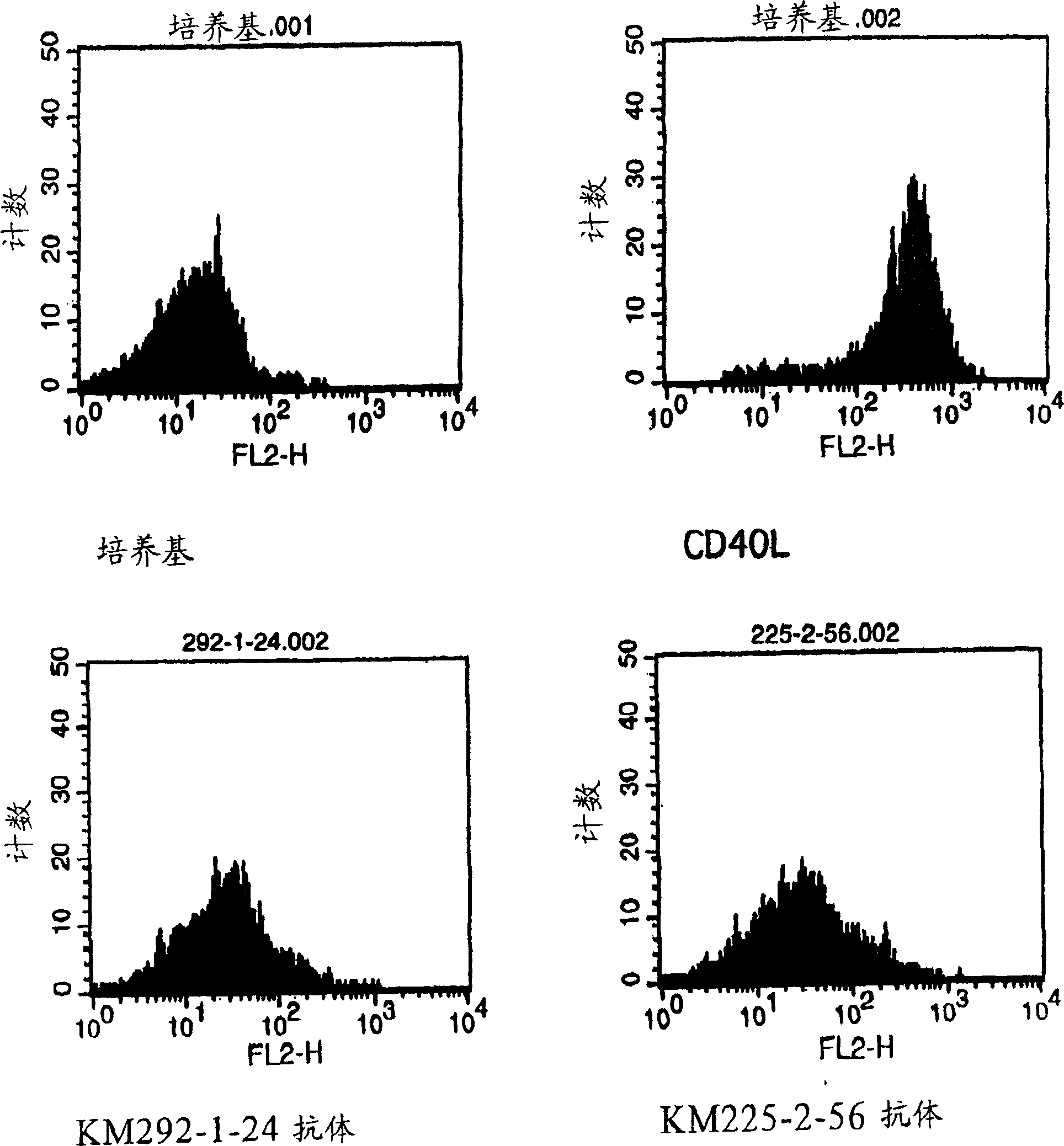 Anti-CD40 monoclonal antibody