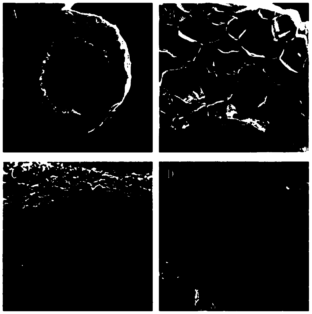 A kind of preparation method of medical flexible gradient vessel catheter