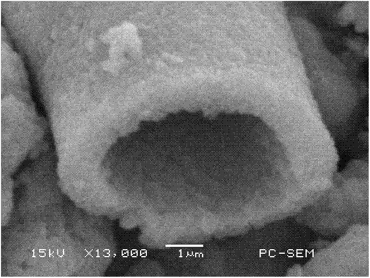 Preparation method of lithium titanate with special morphology