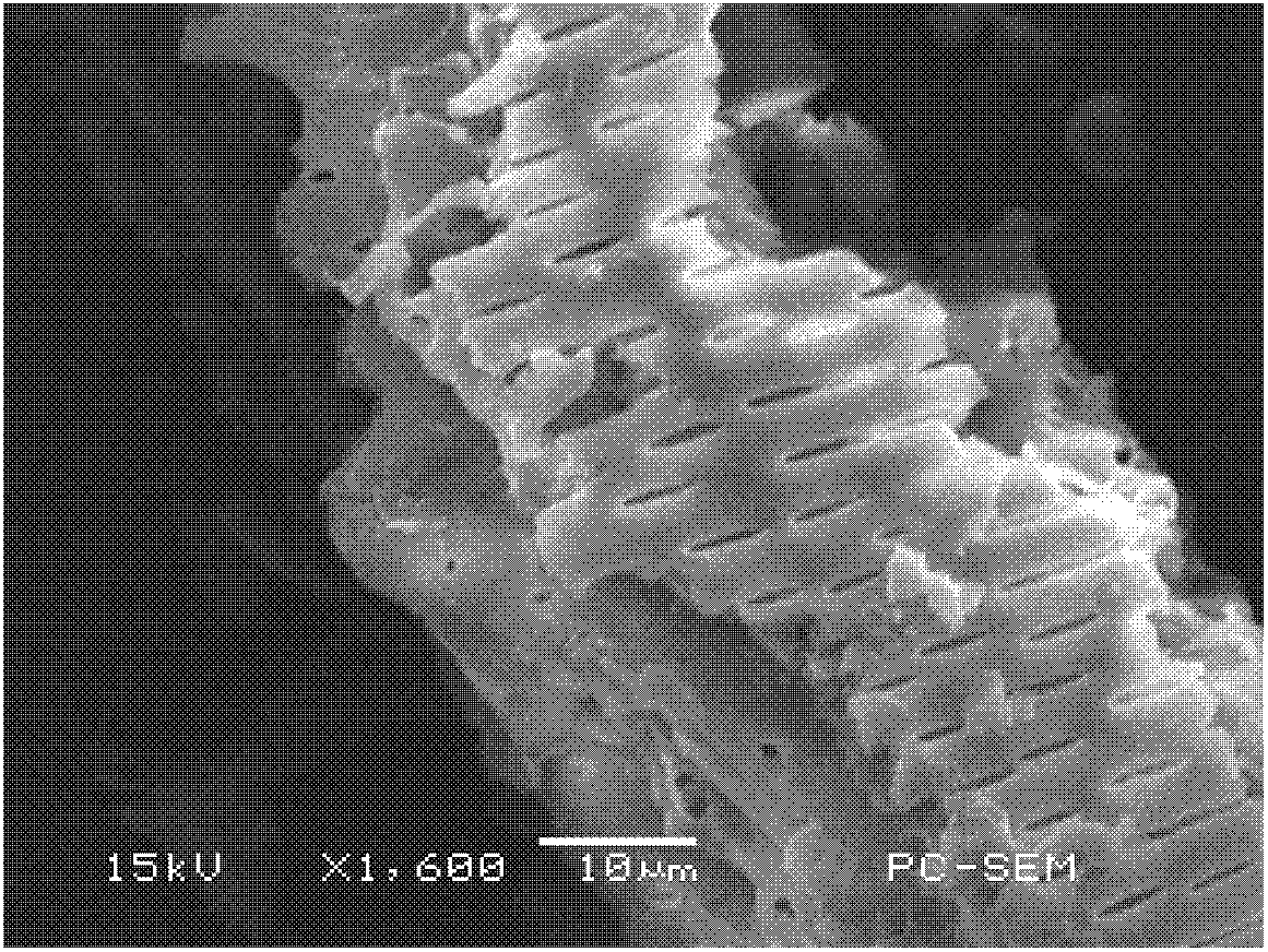 Preparation method of lithium titanate with special morphology