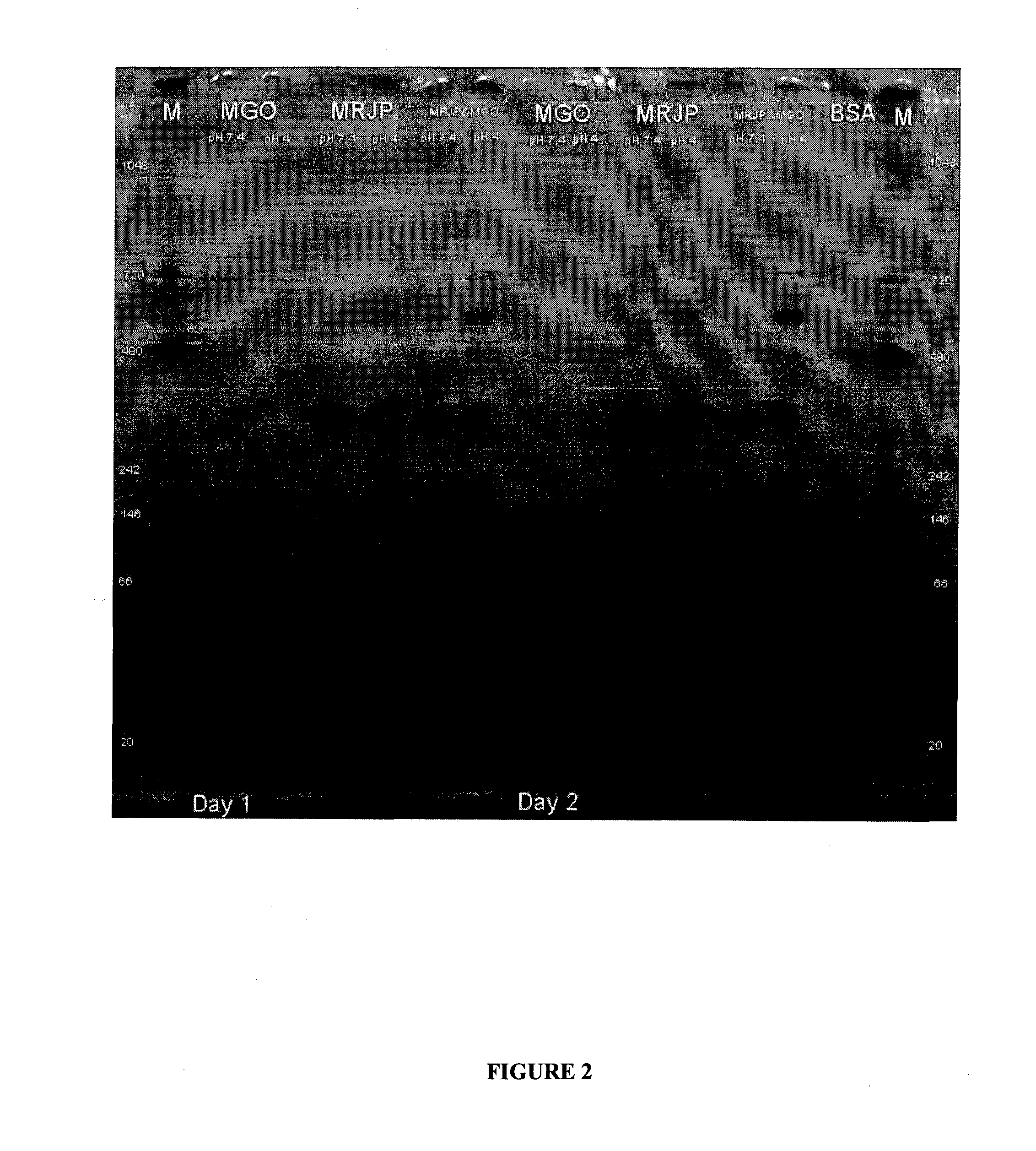 Anti-inflammatory proteins and peptides and methods of preparation and use thereof