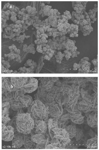 Method for preparing vanadium trioxide powder by using one-step hydrothermal method