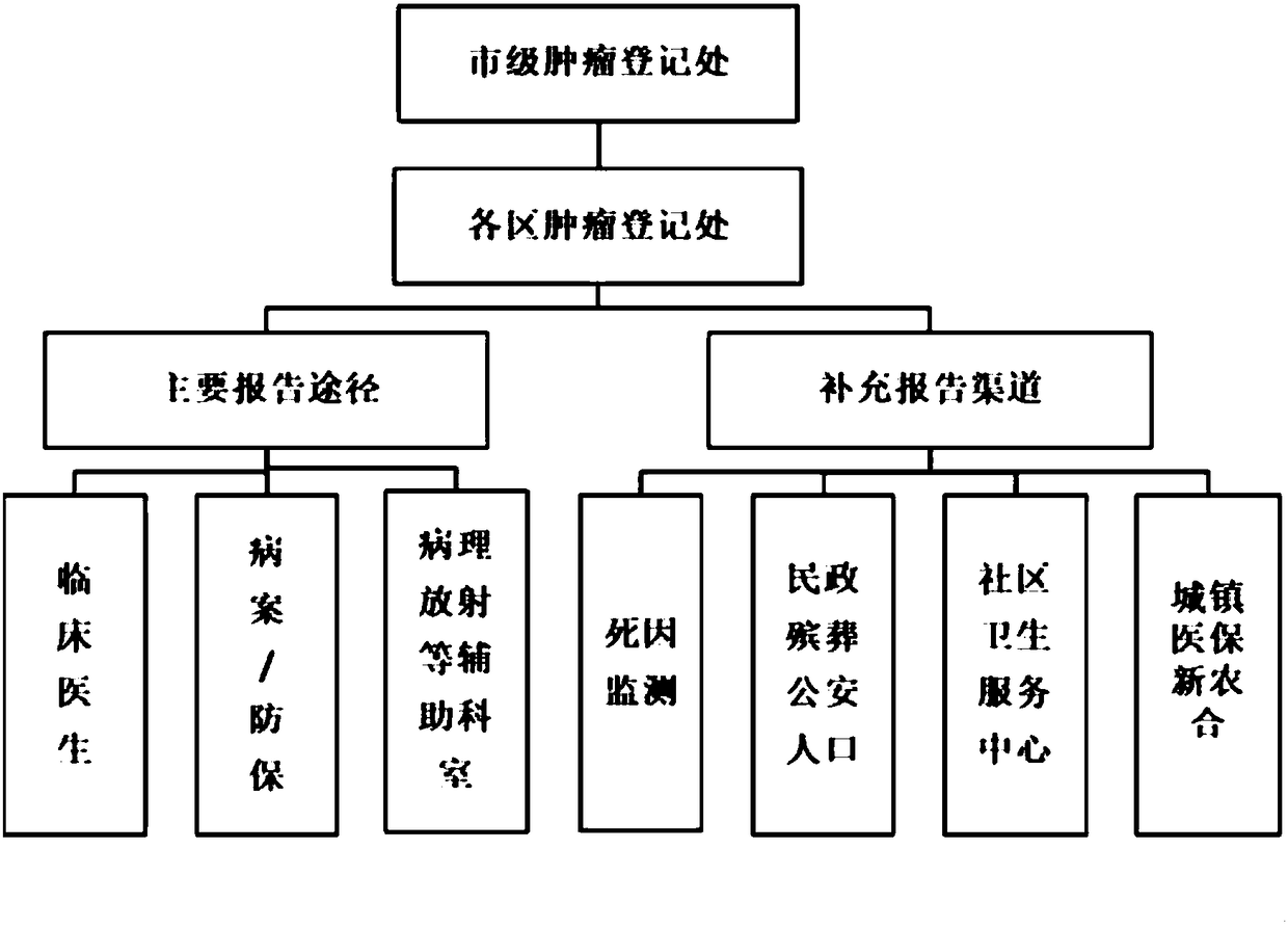 Tumor registration and follow-up network direct reporting system