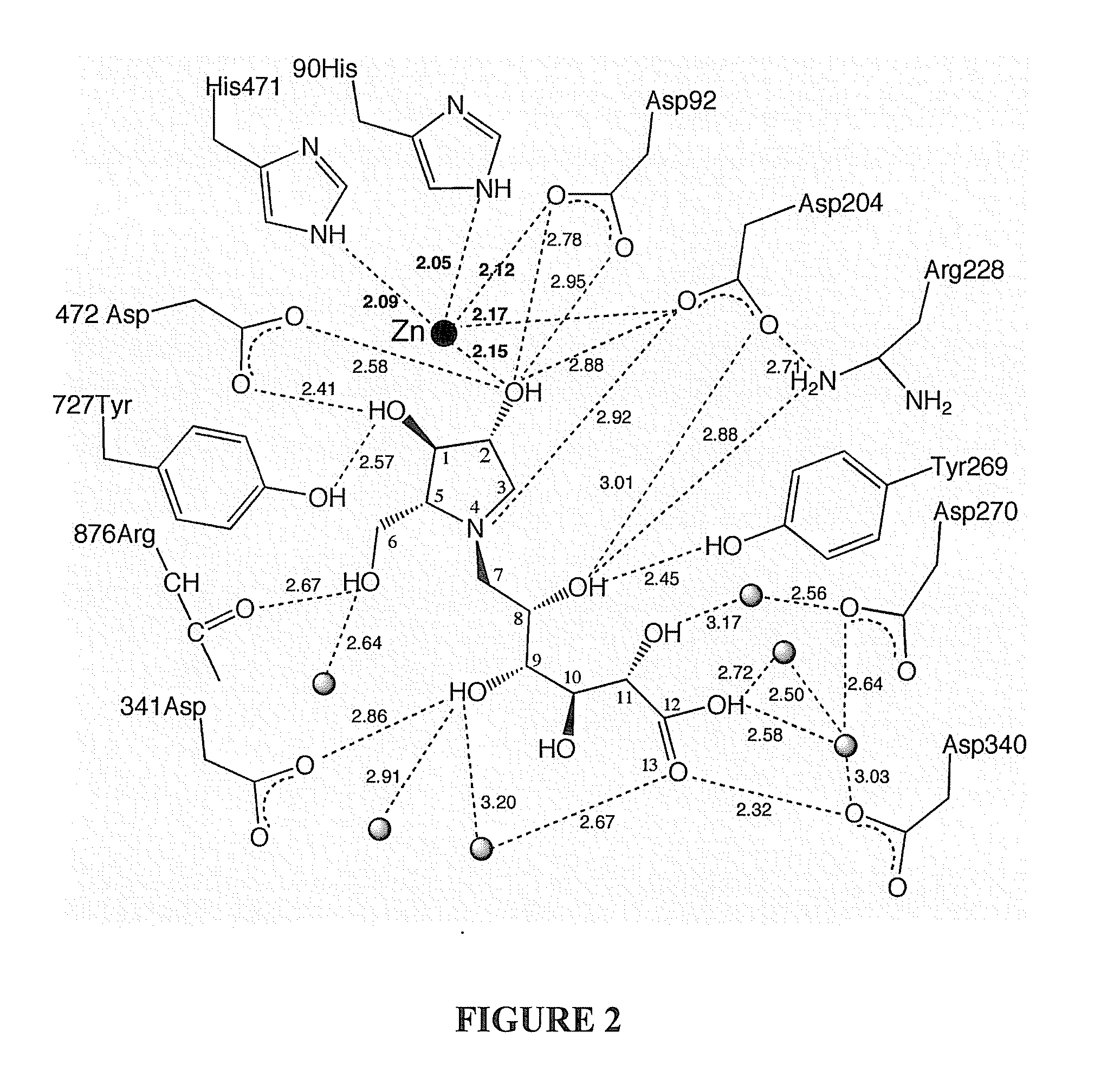 Glycosidase inhibitors and methods of synthesizing same