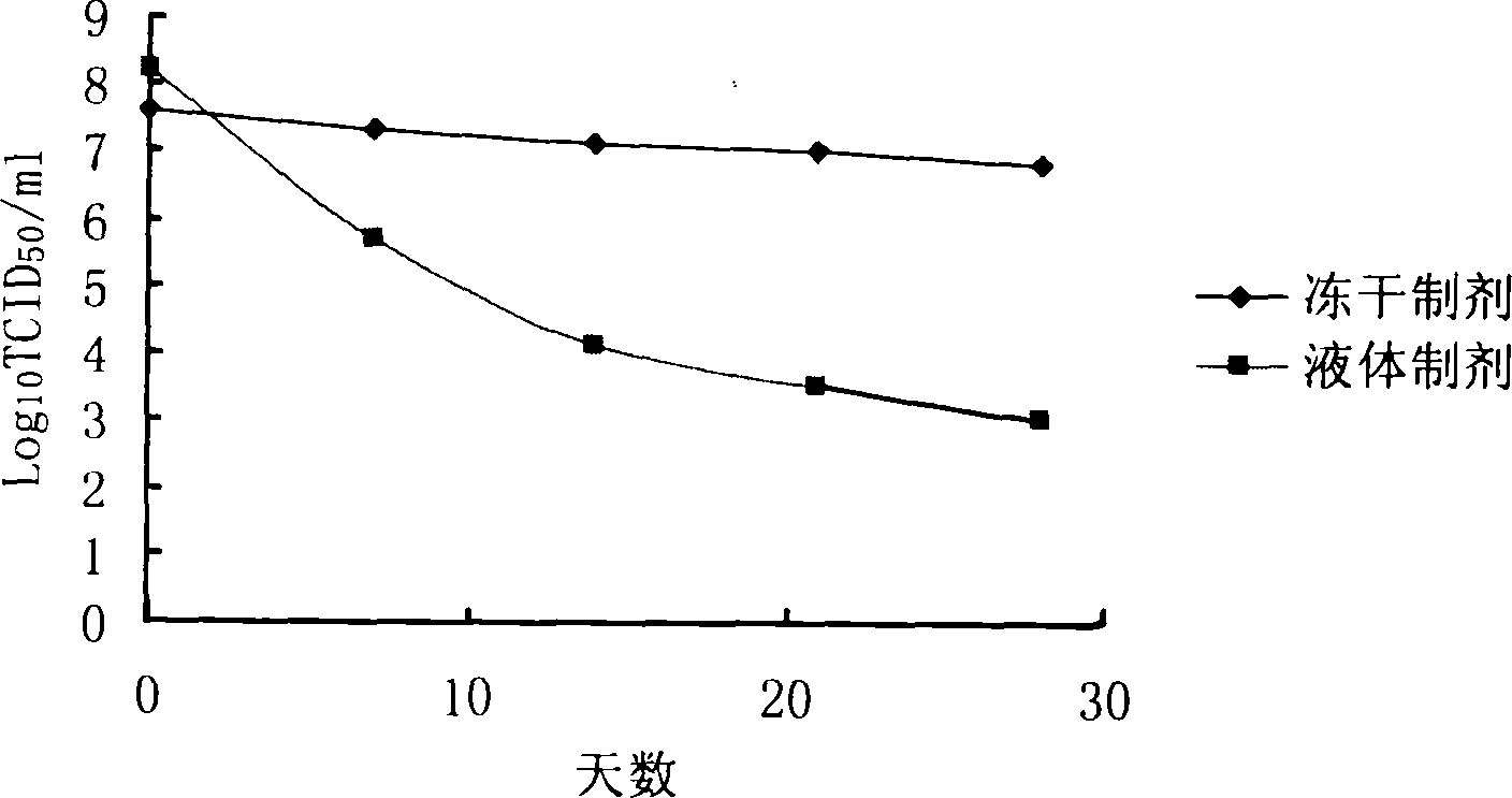 Lyophilized preparation of recombinant adenovirus and preparation method thereof