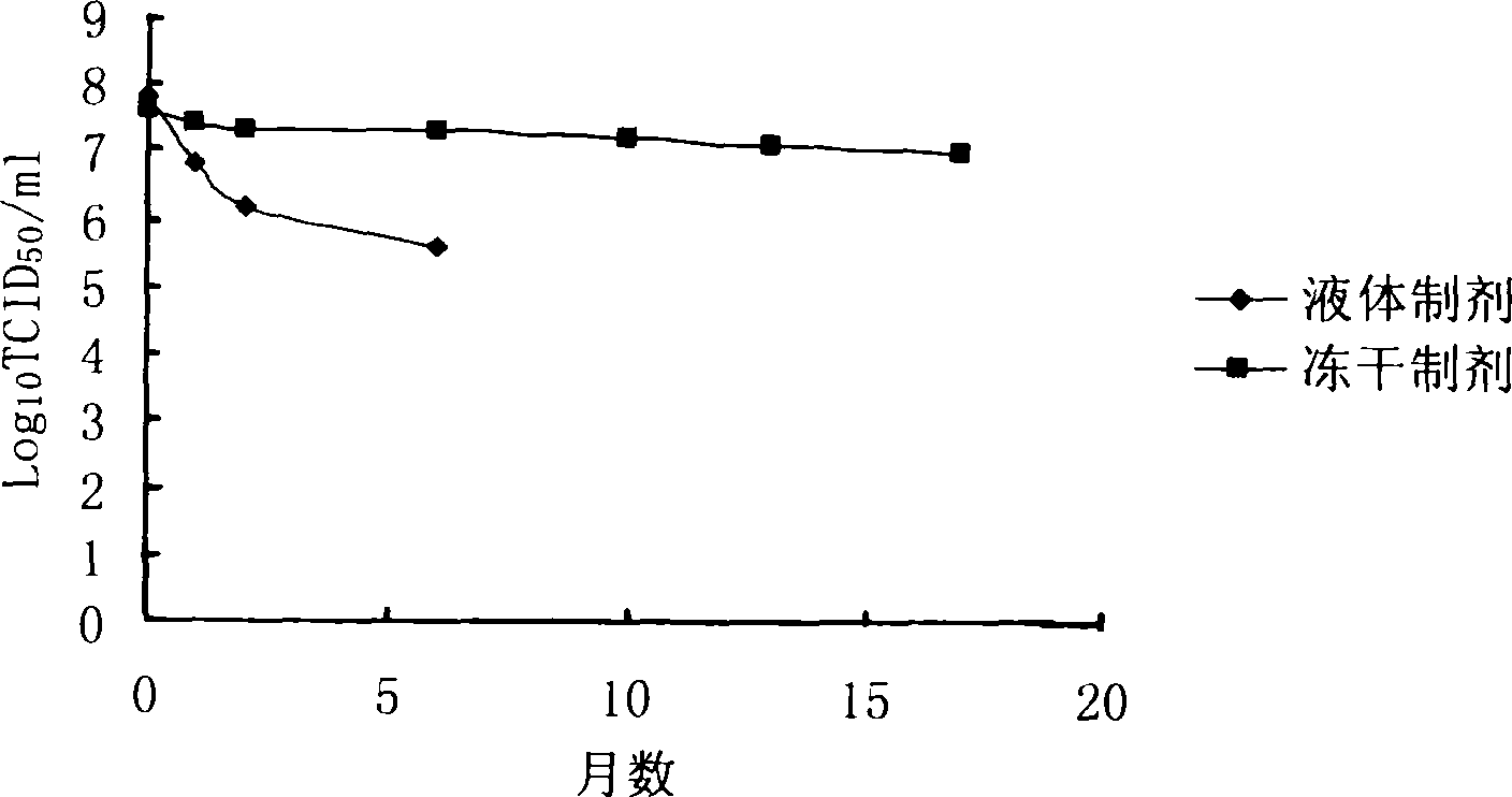 Lyophilized preparation of recombinant adenovirus and preparation method thereof