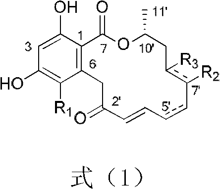 Application of beta-resorcylic acid large ring lactone in controlling harmful snails