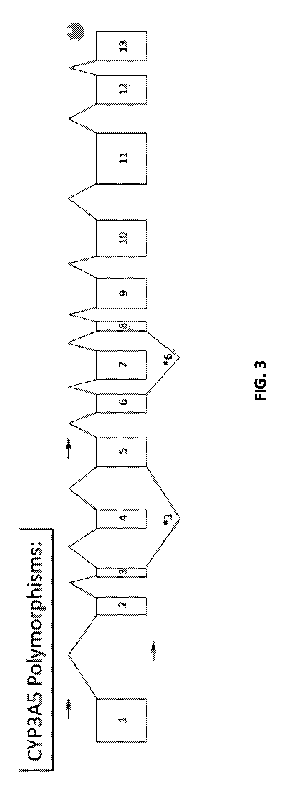 Renal selective inhibition of cytochrome P450 3A5