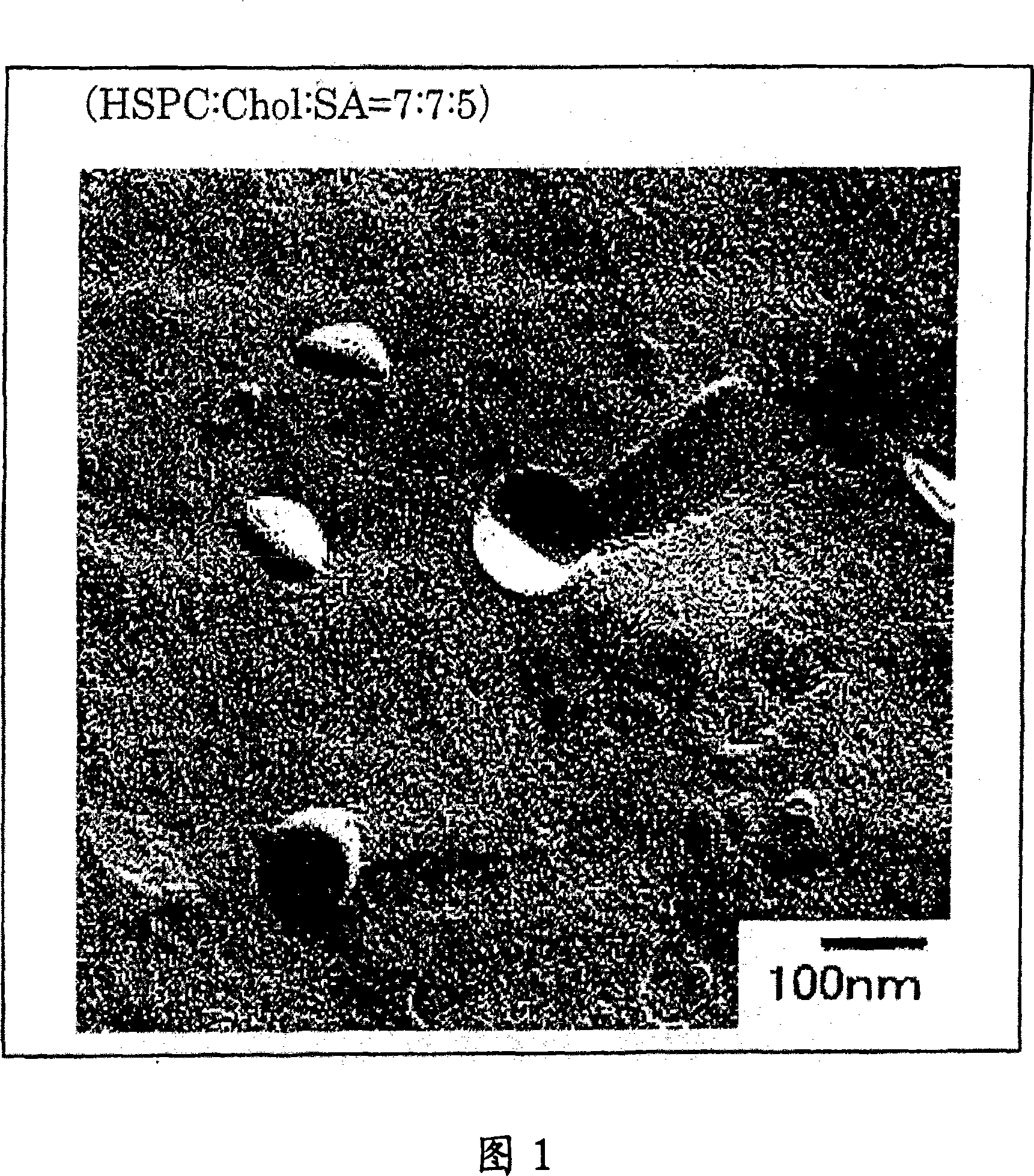 Liposome preparation containing slightly water-soluble camptothecin