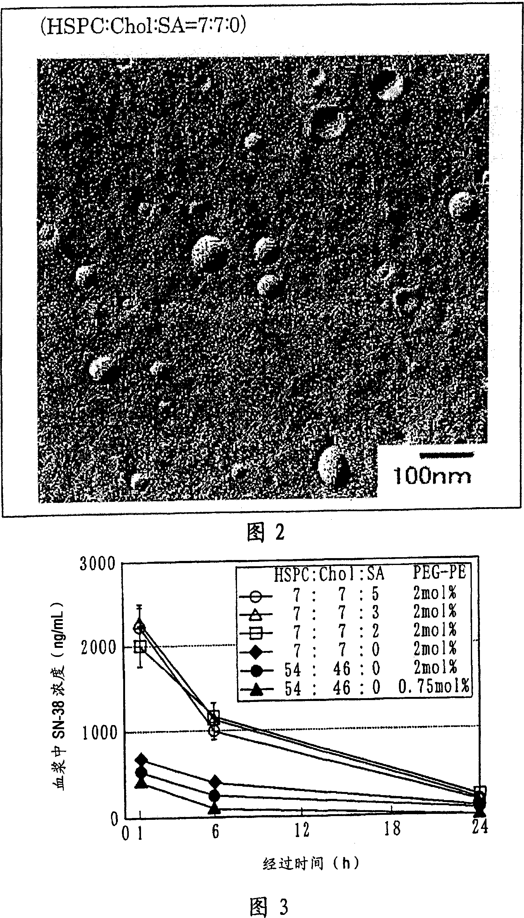 Liposome preparation containing slightly water-soluble camptothecin