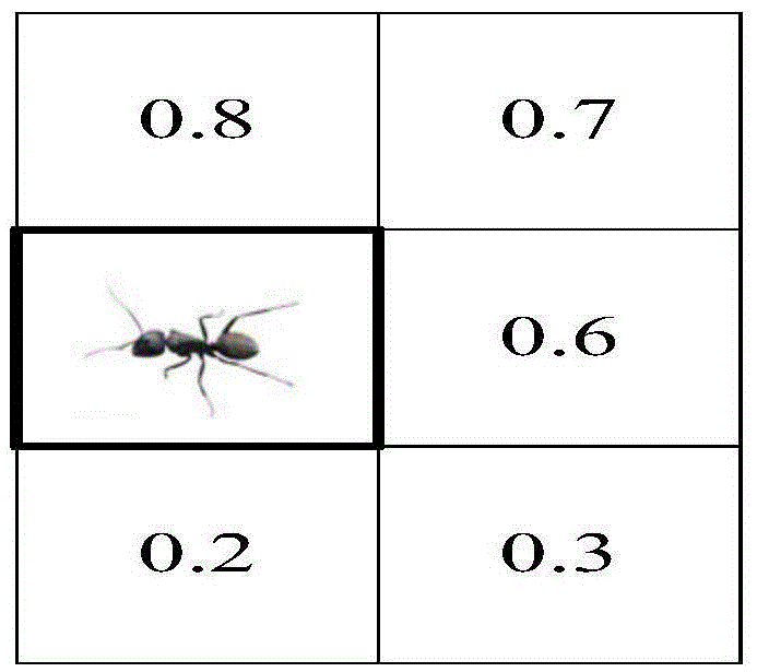 Method for extracting curling wheel on basis of two-stage ant colony algorithm