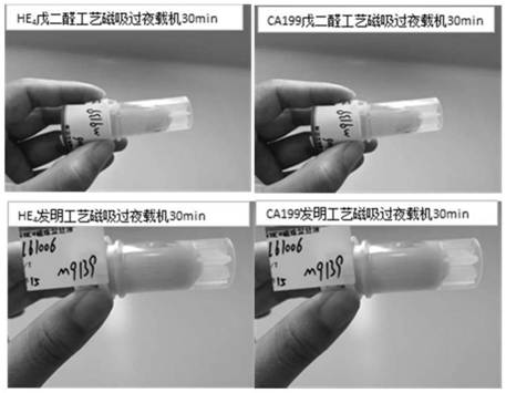 Amino magnetic nanoparticle coating method and application thereof