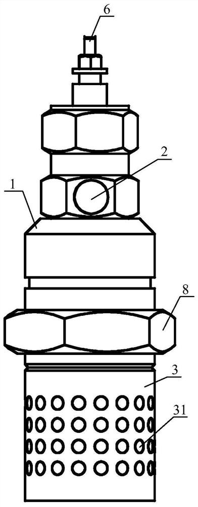 A kind of diesel engine and its flame glow plug