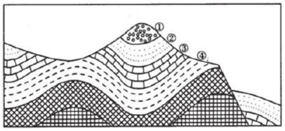 Two-dimensional stratum grid digital editing method and device for stratum structure