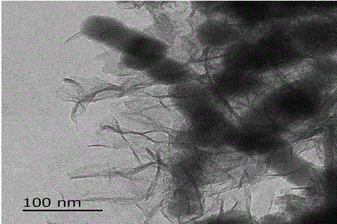 Graphene/silicon dioxide/nano zero-valent iron composite as well as preparation method and application thereof