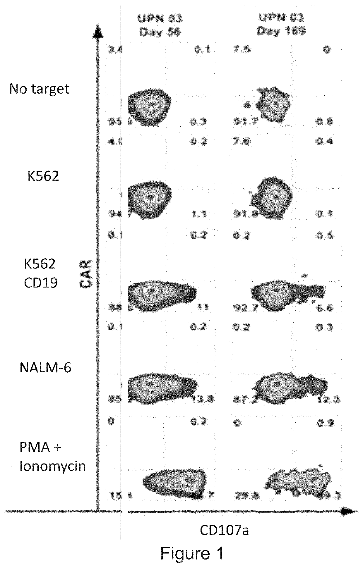 Compositions and Methods for Regulating CAR T Cells