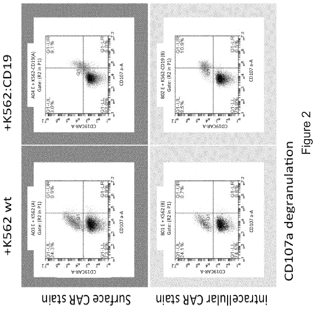 Compositions and Methods for Regulating CAR T Cells