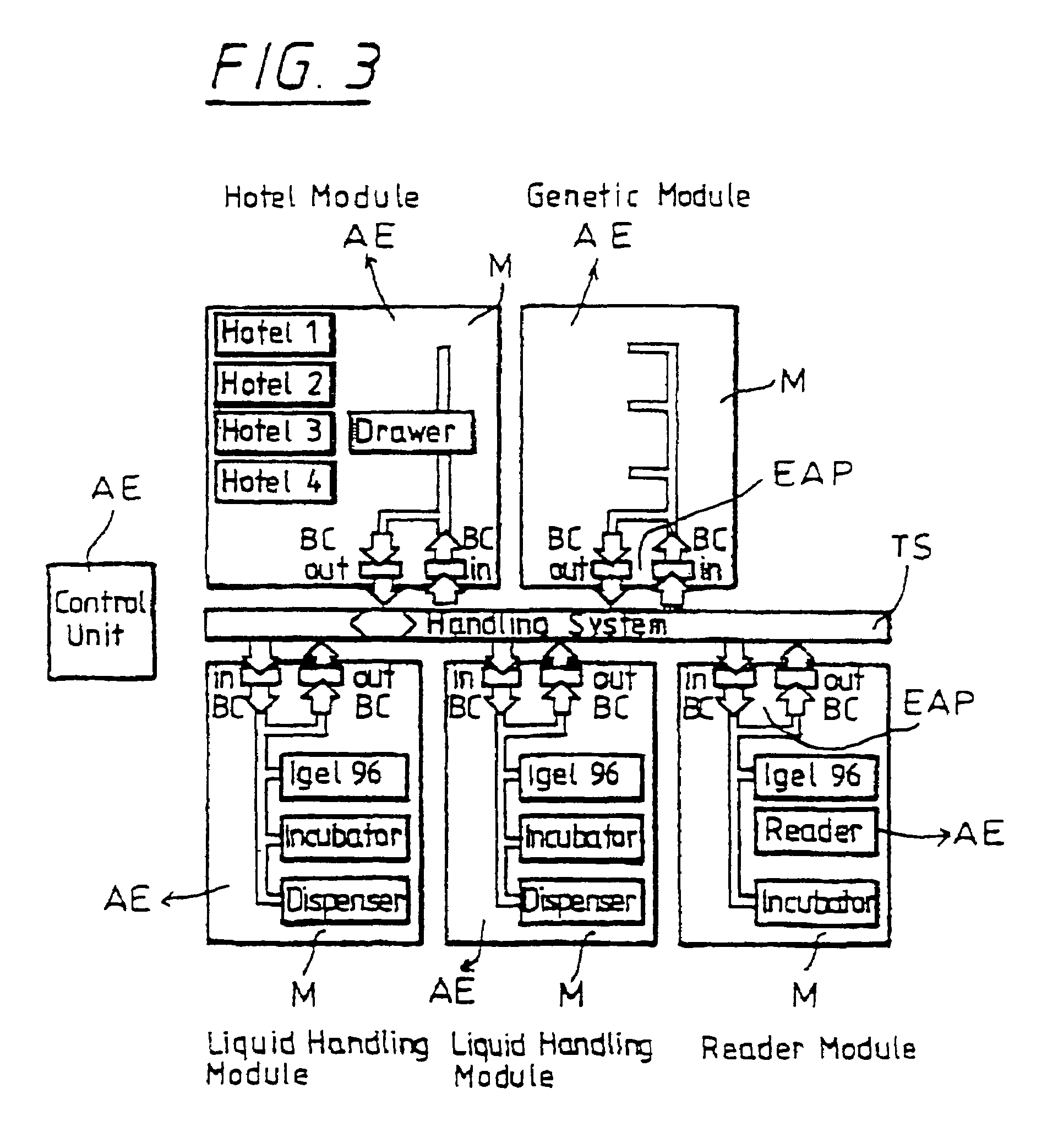 Device for transporting and handling microtiter plates