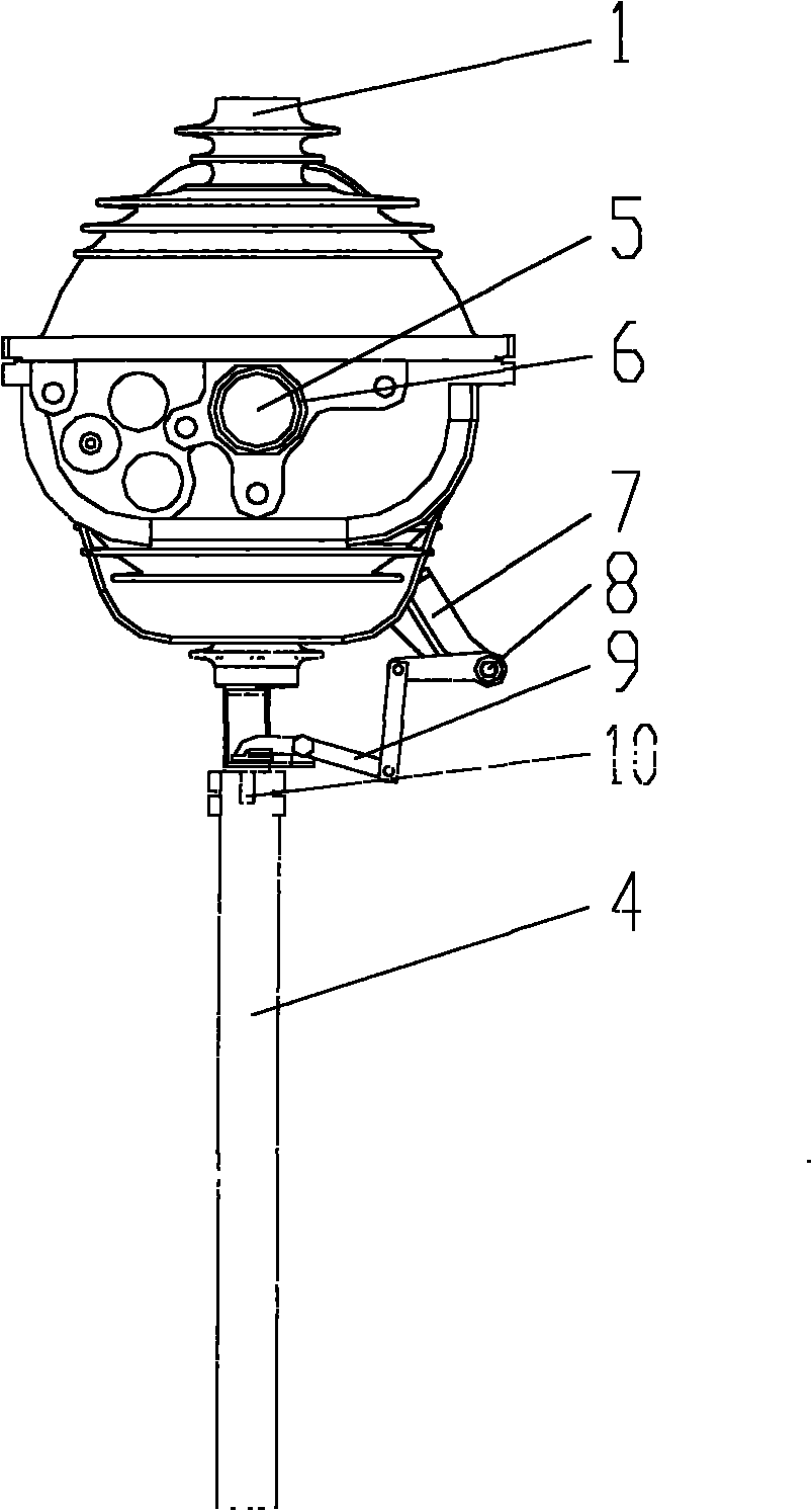 Looped network switching device