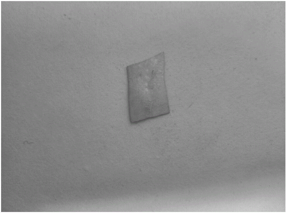 Method for recovering tellurium through cyclone electrolysis of solution containing tellurium