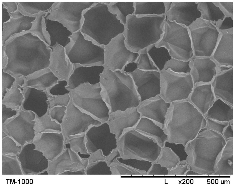 Preparation method of open-cell propylene polymer foamed beads