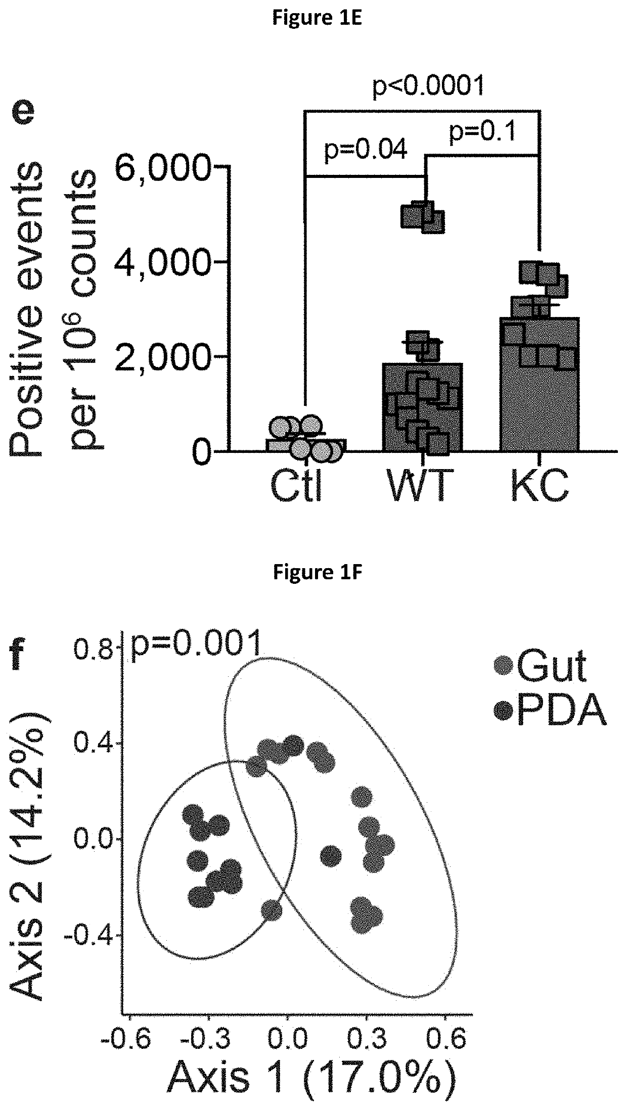 Methods and compositions for treating and diagnosing pancreatic cancers