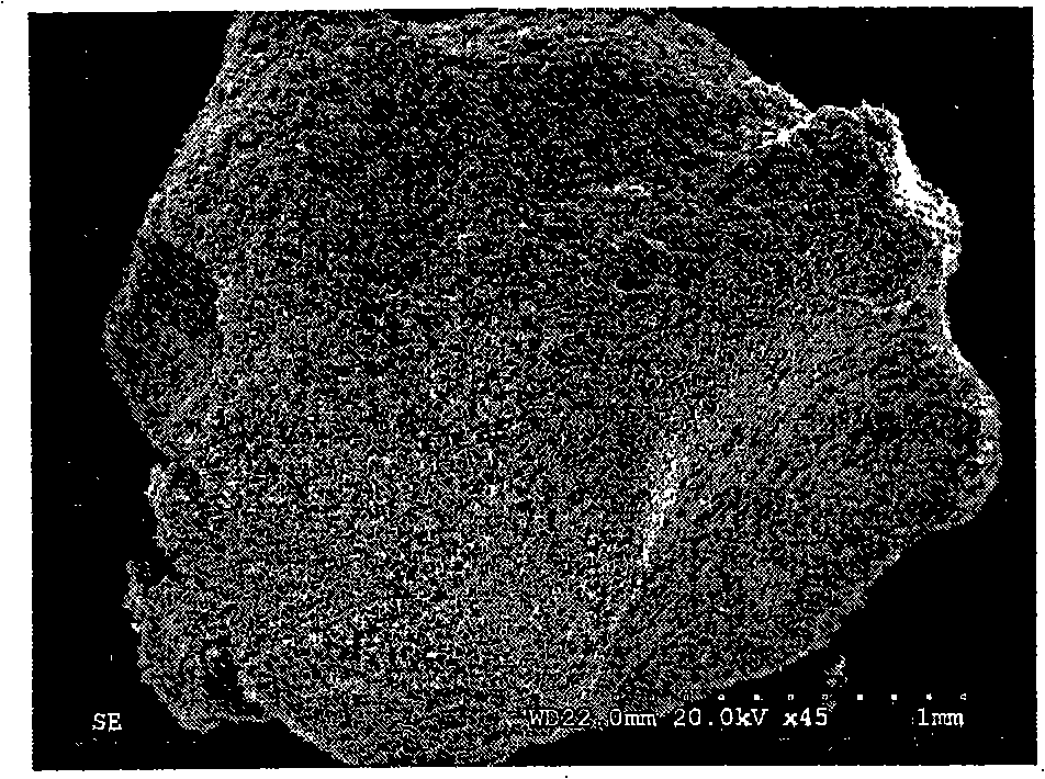 Colorful modified starch particle, preparation and application thereof