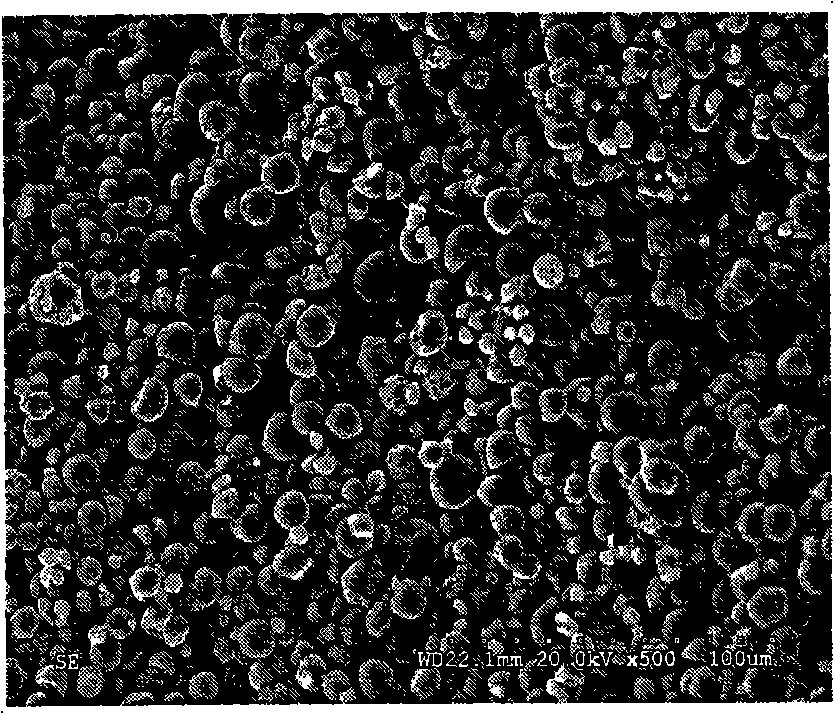 Colorful modified starch particle, preparation and application thereof