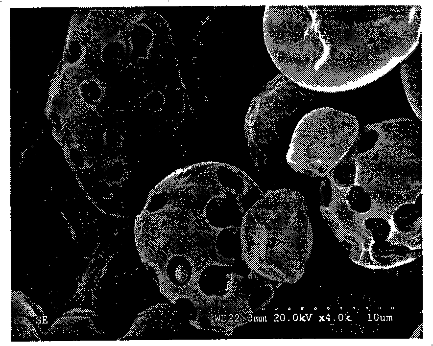 Colorful modified starch particle, preparation and application thereof