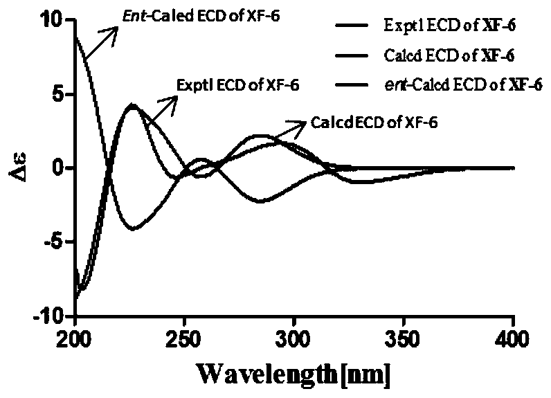 Sesquiterpene lactone compounds, preparation method thereof and application to preparation of NPC (nasopharyngeal carcinoma) preventing and treating drugs