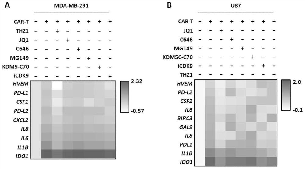 Cancer combined treatment composition