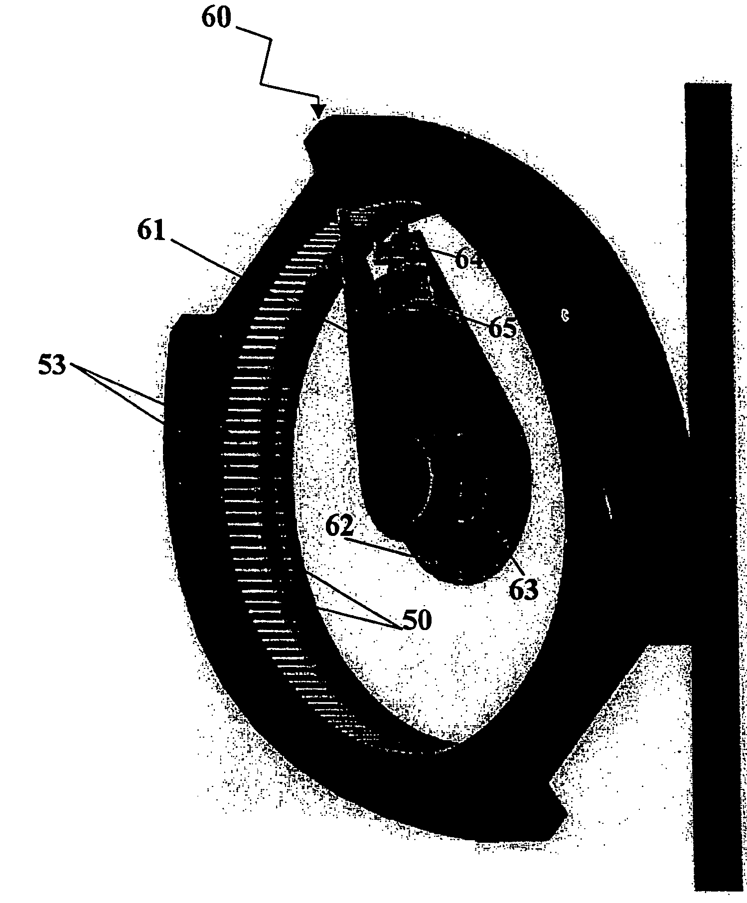 Analyte monitor