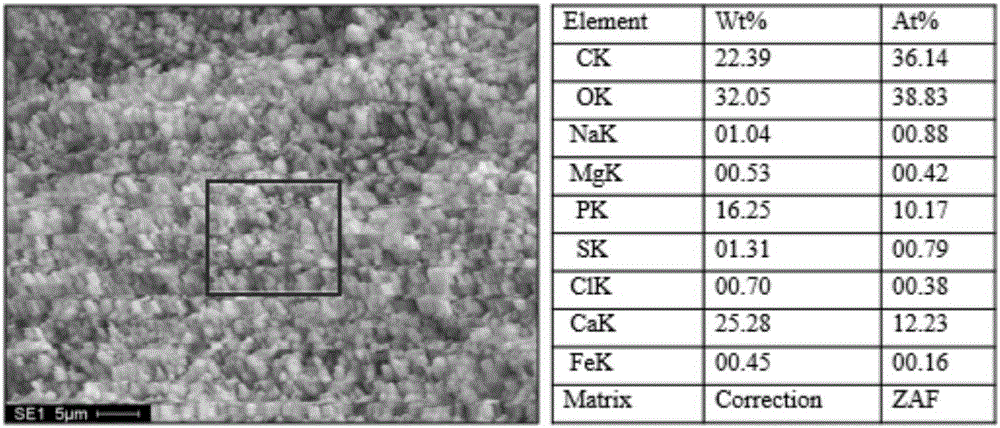 Method for removing and recycling phosphorus from sewage based on aerobic granular sludge