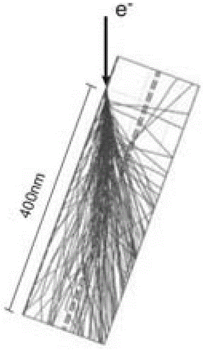 SEM transmission electron Kikuchi diffraction apparatus and analytical method