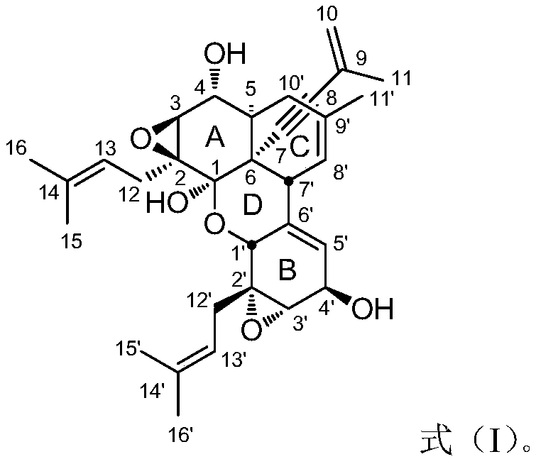 Dimeric carpienyne a and its application in the preparation of drugs for the prevention and treatment of neurodegenerative diseases