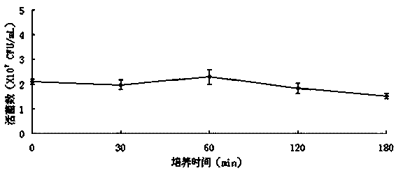 High-activity lactobacillus plantarum for feeding, and culture method and application of high-activity lactobacillus plantarum