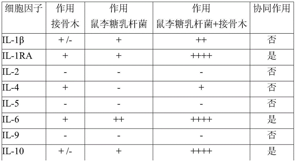 Composition comprising a combination of an elder extract and a strain of lactobacillus rhamnosus