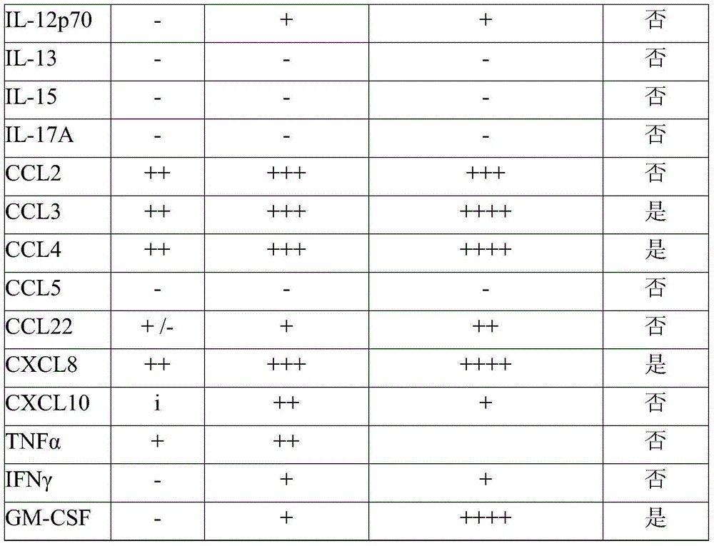 Composition comprising a combination of an elder extract and a strain of lactobacillus rhamnosus