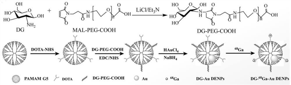 Dendritic macromolecule coated gold nanoparticle composite material as well as preparation and application thereof